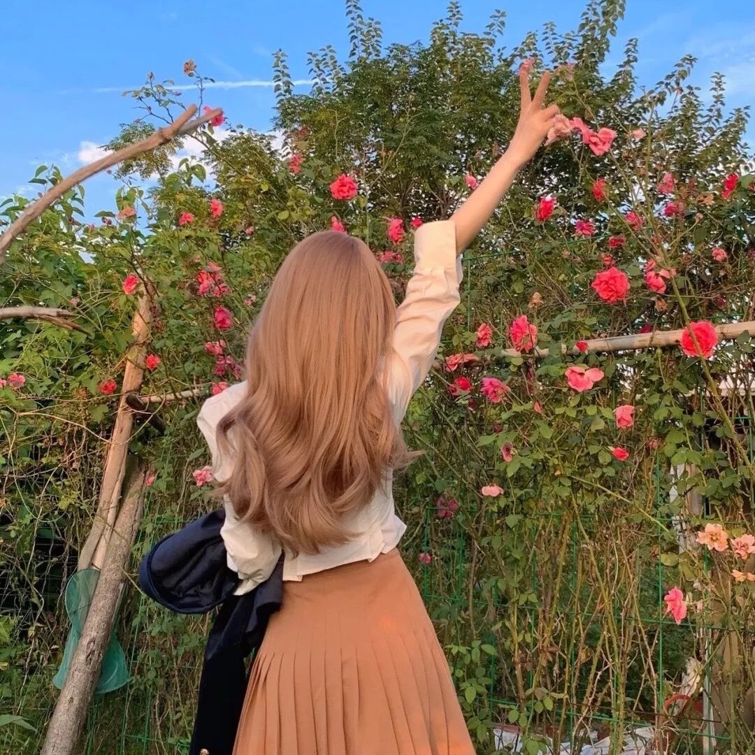 美国派4:美国重逢